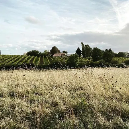 Chateau Le Repos Pensión *